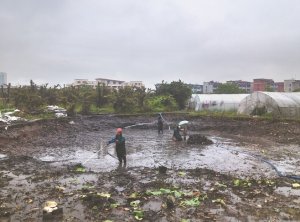 丰南河道鱼塘清淤